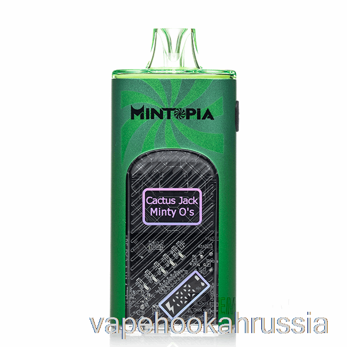 вейп-сок Mintopia Turbo 9000 одноразовый кактус джек Minty O's